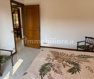 Trilocale buono stato, piano rialzato, Centro, Sovicille - Photo 6
