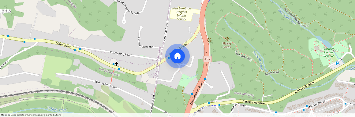 2/2A Beverley Crescent New Lambton Heights NSW