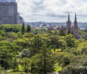 187 Liverpool Street, Sydney NSW 2000 - Apartment For Rent | Domain - Photo 6