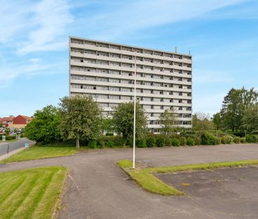 Hiort Lorenzens Vej 56, 9. tv., 6100 Haderslev - Photo 4