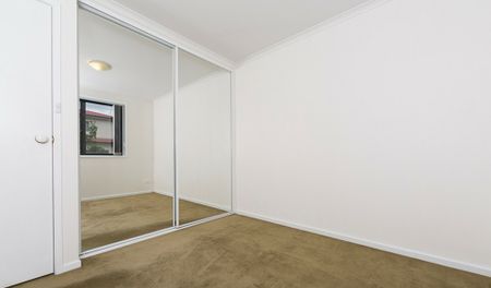 Two Bedroom Apartment in Great Area! - Photo 5