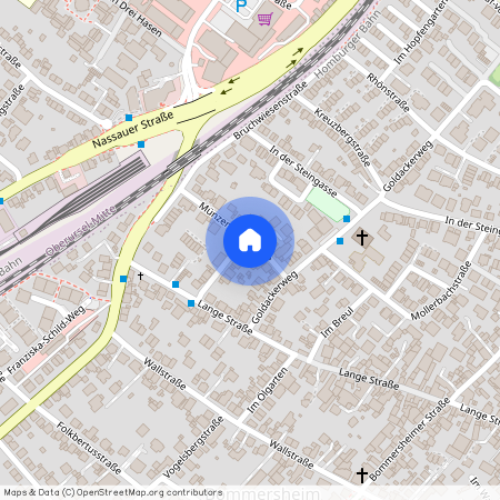 Münzenburgstr. 8, 61440 Oberursel (Taunus)