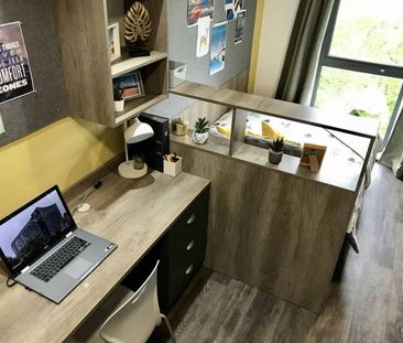 Standard Studio - Photo 5