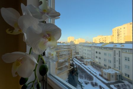 2 pok. z balkonem przy stacji metra Ursynów - Photo 4