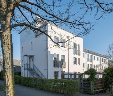 Demnächst frei! 1-Zimmer-Wohnung in Hannover Bemerode - Foto 1