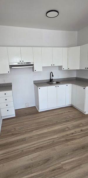 Logement 1 Chambre à Louer - Buckingham - Photo 1
