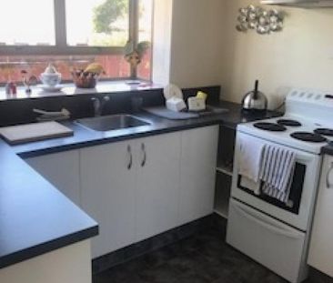 Walking distance to the Nelson CBD. - Photo 4