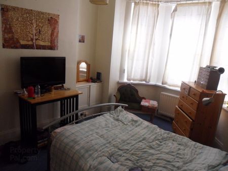 Unit 1, 46 College Park Avenue, Botanic, BT71LR, Belfast - Photo 3