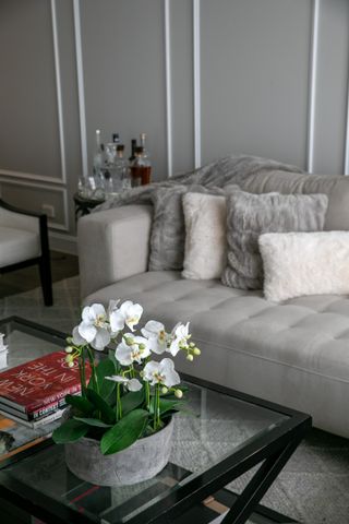 G05/2 Parbery Street, Kingston ACT 2604 - Terrace For Rent | Domain - Photo 5