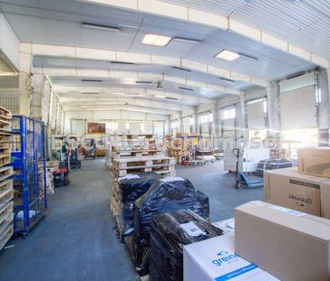 Piła, Zamość - Фото 3