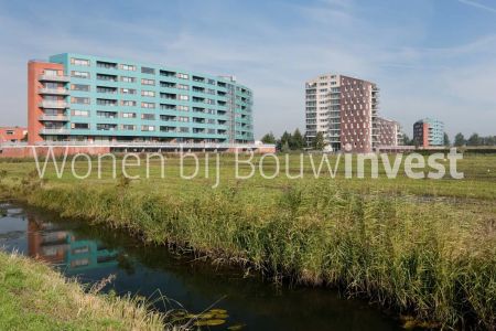 Appartement de 2 pièces Beeldsnijderstraat, Zwolle - À louer - Photo 5