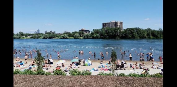 5 1/2 - Montréal (Verdun) - 1 785 $/mois - Photo 2