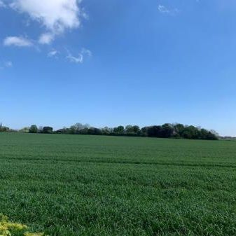 Belmont Road, Westgate-On-Sea, CT8 8AY, Kent - Photo 4