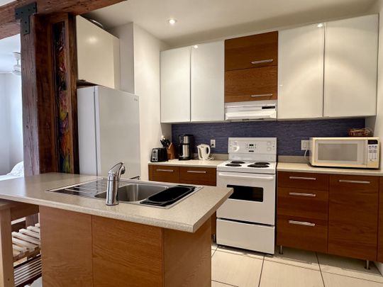 Superbe et grand studio face au Parc Lafontaine, équipé avec tous les services inclus. - Photo 1
