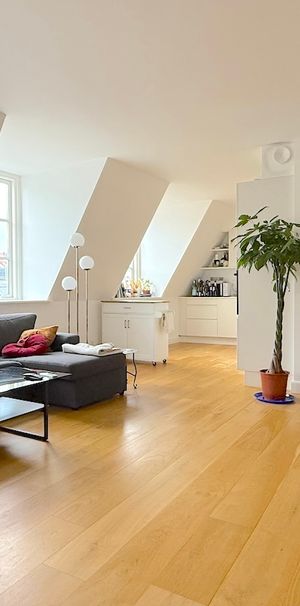 Rummelig lejlighed i to plan i hjertet af København - Photo 2