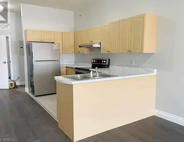150 COLBORNE Street Unit# 403 | 150 COLBORNE Street Unit# 403, Brantford - Photo 1