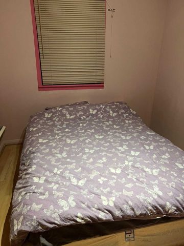 Price £1,200 pcm - Let - Photo 3