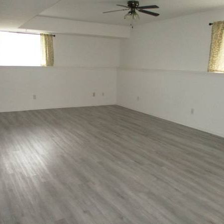 Incredibly Spacious, Beautiful And Bright Includes Utilities! - Photo 3