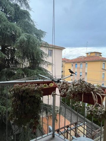 Trilocale arredato zona San Ruffillo - Photo 4