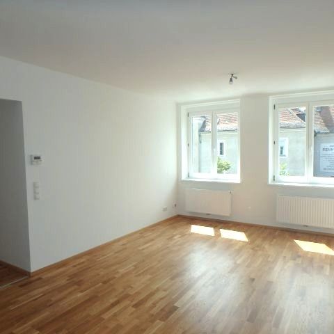 Toprenovierte 3- Zimmer Wohnung mit Lift in Krems- Zentrum - Foto 1