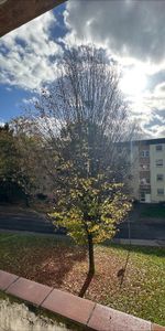 Käthe-Kollwitz-Str. 2, 51377 Leverkusen OT Steinbüchel - Photo 3