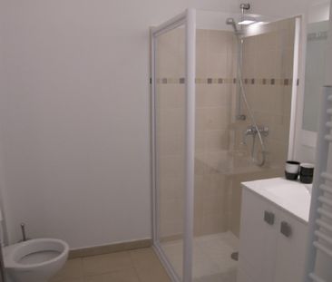 Location Appartement 1 pièce 20m² NICE 06300 - Photo 4
