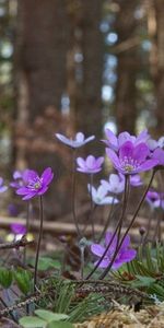 Ekebergsgatan 2F, Virserum - Foto 4