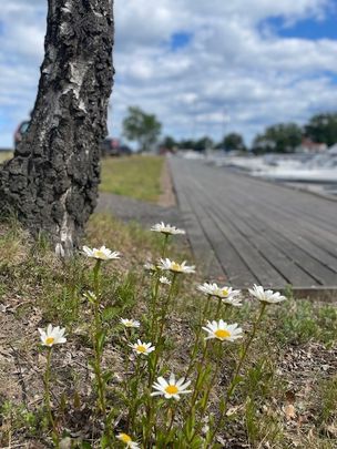 Vattugatan 2A - Photo 1