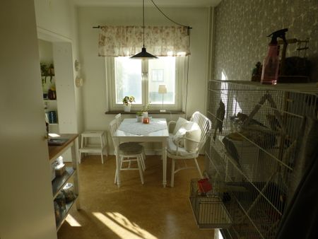 Apelgatan 22 A - Foto 3