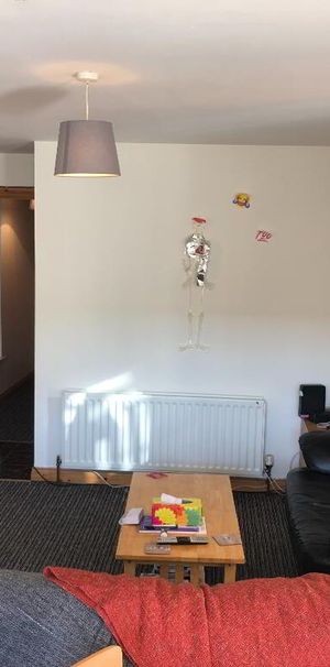 Flat 2-2 Eglantine Gardens, Belfast, BT9 6EZ - Photo 1