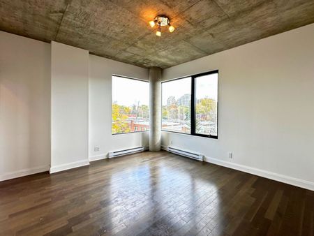 Condo moderne lumineux et magnifique – 2 chambres, 2 salles de bain ! - Photo 3