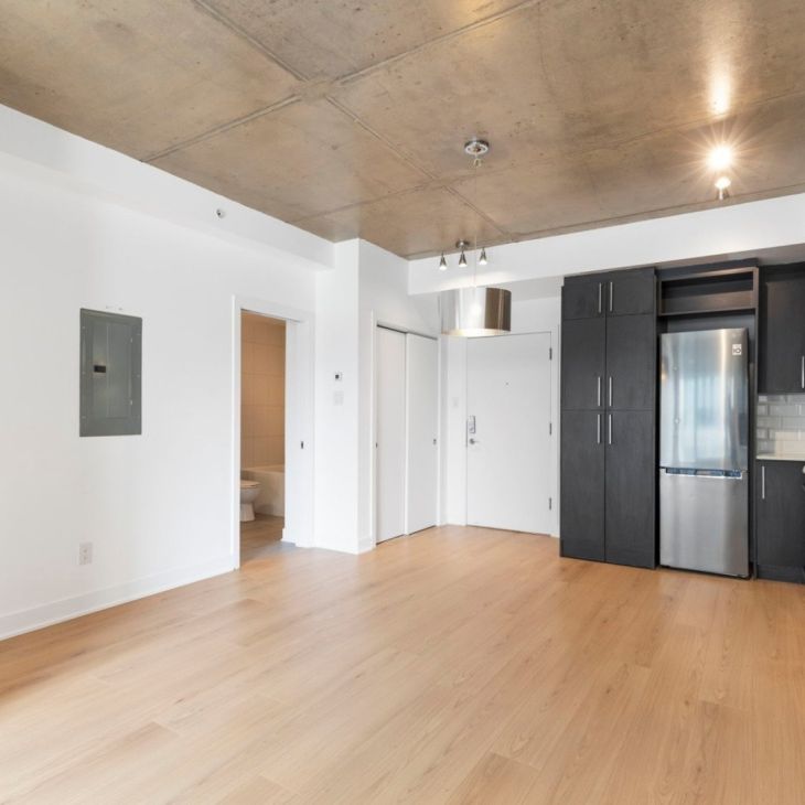 Appartement à louer - Montréal (Ville-Marie) (Centre) - Photo 1