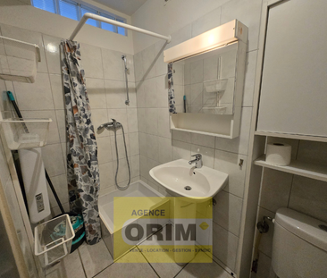 Location Appartement 2 pièces 27m² ST LOUIS 68300 - Photo 3