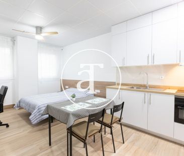 Monthly rental Studio with 1 bedroom, 1 bathroom in Latina - Photo 2