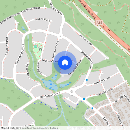 5 Bellona Chase, NSW 2285, Cameron Park