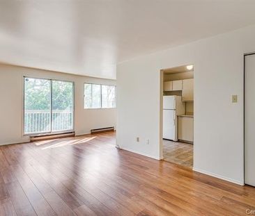 5025 Boul. des Sources, #302 - Photo 6