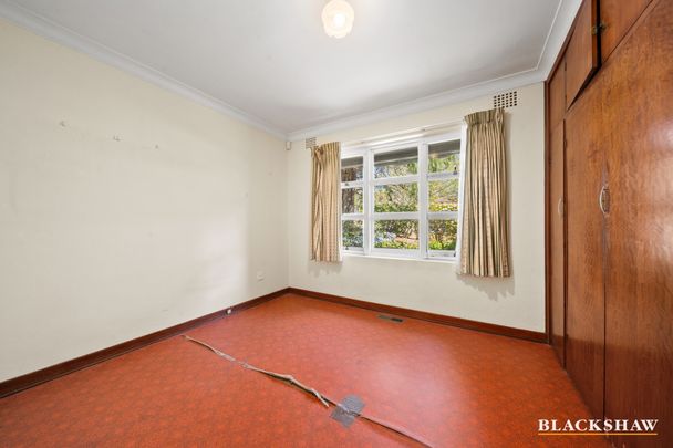 15 Hodgkinson Street, Griffith ACT 2603 - House For Rent | Domain - Photo 1