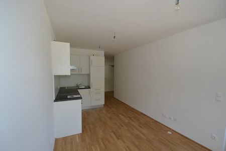 Zentrum/Annenviertel – 41 m² – 2 Zimmer – tolle Singlewohnung – 6 m² Loggia – ab sofort - Foto 5