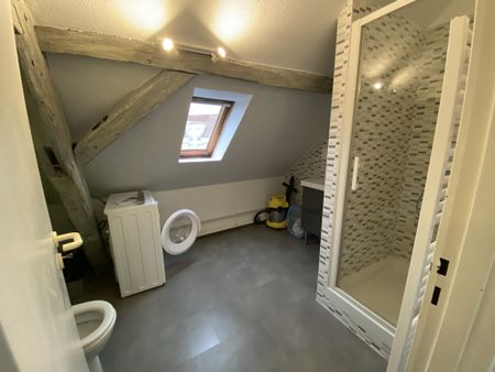 Location Appartement 1 pièce 20m² HOENHEIM 67800 - Photo 3