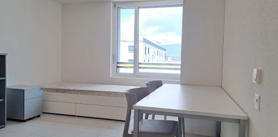 HALDIMAND 55, Studio de 1.5 pièce meublé au centre de la ville - N320 - Photo 2