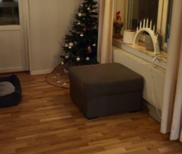 Tvistevägen, Umeå - Photo 1