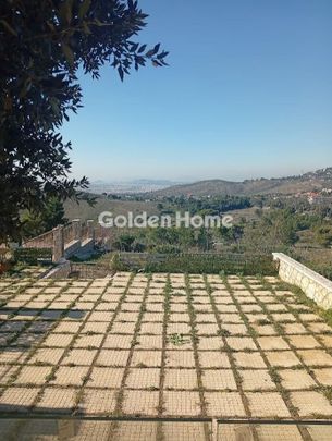 Μεζονέτα για ενοικίαση Ντράφι (Πικέρμι) - Φωτογραφία 1