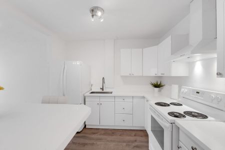 For Lease - 2495A Queen Street, Toronto, Ontario - Photo 4