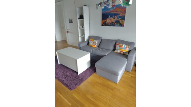 4½ Zimmer-Wohnung in Bern - Felsenau/Tiefenau, möbliert, auf Zeit - Photo 1