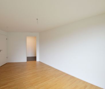 New construction Ankenbüel: Cozy and sunny apartment! - Foto 6