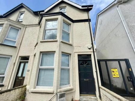 41 Lower Windsor Avenue, Belfast, BT9 7DW - Photo 4