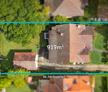 Comfortable family living in a prime east-side Lindfield location - Photo 5