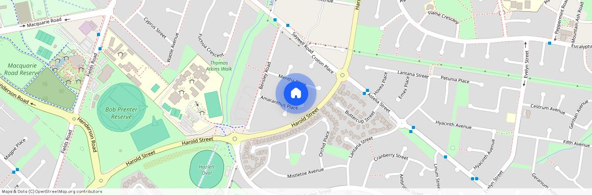 9 Amaranthus Place, NSW 2564, Macquarie Fields