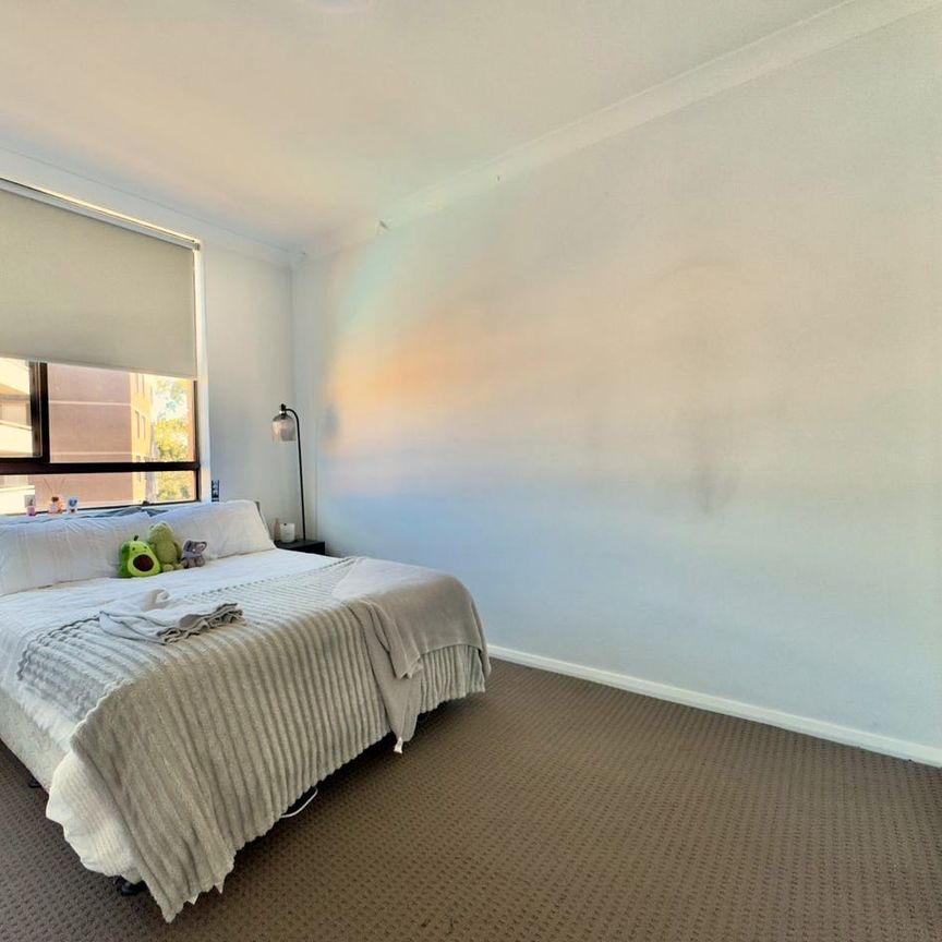 48/482 Pacific Highway, Chatswood, NSW 2067 - Photo 1