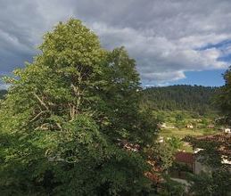Διαμέρισμα για ενοικίαση - Κασσάνδρα, - Photo 6